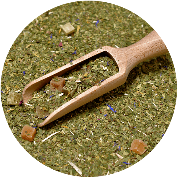 Trio Yerba Verde Mate auf START für Anfänger