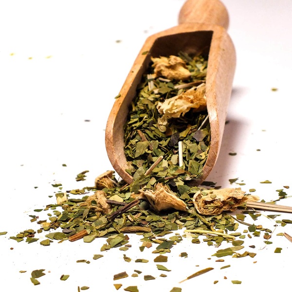 Geschenkset Mate Tee Verde Mate Cactus 0,5kg