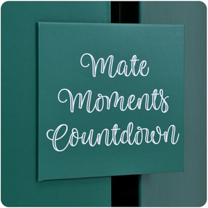 Adventskalender – Mate Tee und Zubehör – Verde Mate und andere Marken