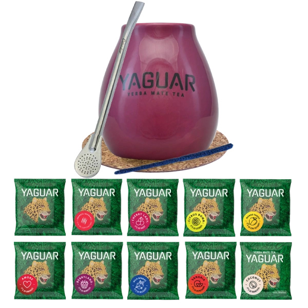 Satz Yerba Mate Yaguar 10x50g Kalebasse Bombilla