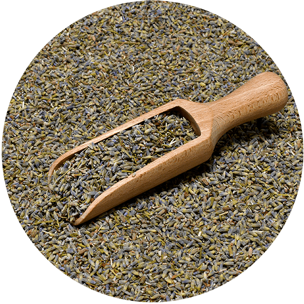 Mary Rose – Lavendel 25 g – Lavendelblüte (ökologisch)