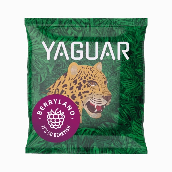 Mate Tee Starter Set: Proben Yaguar 10x50g + Kalebasse + Bombilla