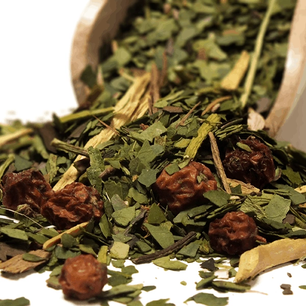 Verde Mate Green Katuava – leaves and ingredients