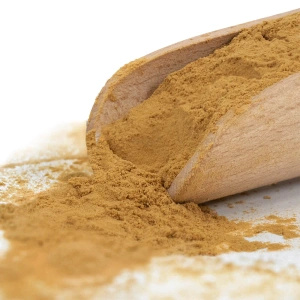 Magic Pwdr – Chaga – Schiefer Schillerporling 50 g