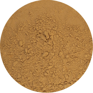 Magic Pwdr – Chaga – Schiefer Schillerporling 100 g