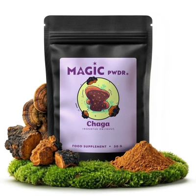 Magic Pwdr – Chaga – Schiefer Schillerporling 50 g