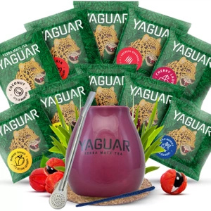 Satz Yerba Mate Yaguar 10x50g Kalebasse Bombilla