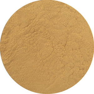 Magic Pwdr – Reishi – Glänzender Lackporling 100 g