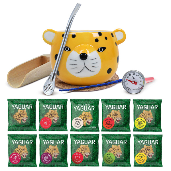 Mate Tee Starter Set: Proben Yaguar 10x50g + Kalebasse + Bombilla