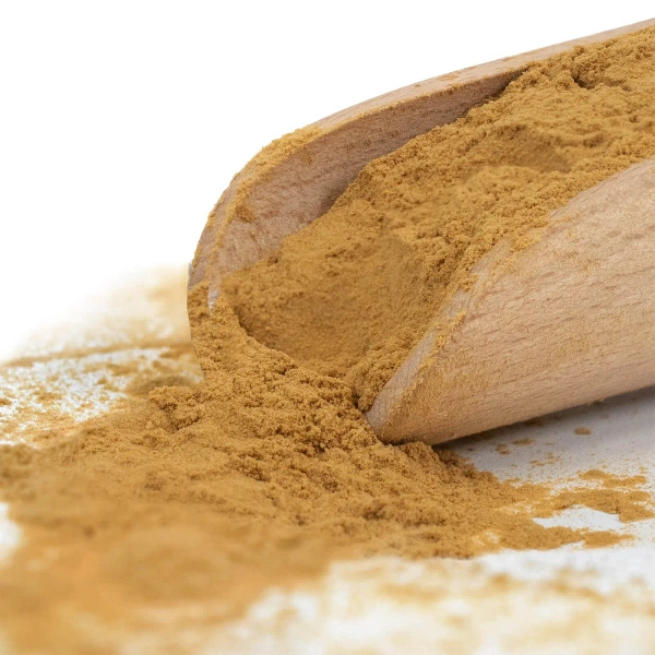 Magic Pwdr – Chaga – Schiefer Schillerporling 50 g