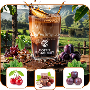 Bro Coffee Roastery - Bohnenkaffee Costa Rica San Rafael Speciality 1 kg